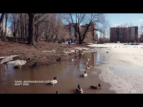 Воронежские озера. Губерния на высоте