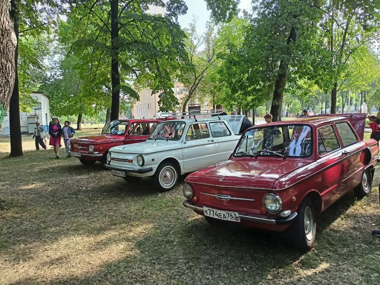 В одном из парков Самарской области разместили выставку ретроавтомобилей |  СОВА - главные новости Самары