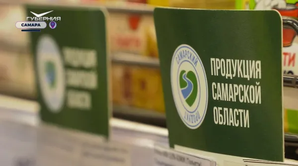 В Самарской области запустили проект по поддержке предпринимателей