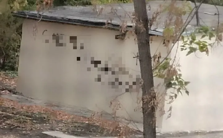 Самарцы потребовали найти автора нацистского граффити на заднем дворе администрации Куйбышевского района