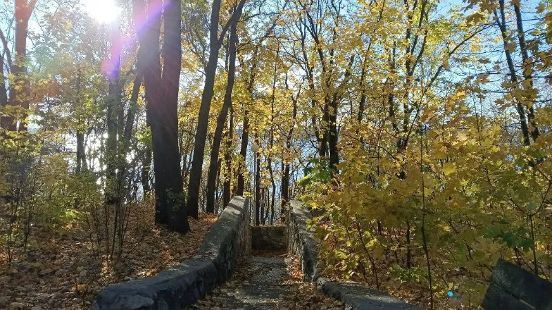 В Самарской области 14 октября температура опустится до 5 градусов