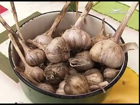 Удачные заметки 03.10.2017. Сажаем чеснок и выкапываем саженцы груши