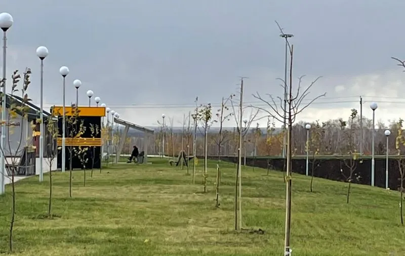 В Нефтегорске появилась яблоневая роща 