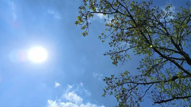 В Самарскую область на следующей неделе вернется 23-градусное тепло