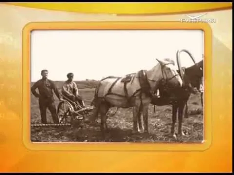 Календарь губернии 29.11.2015 