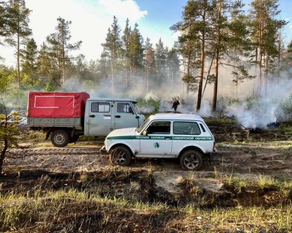 В Самарской области ликвидировали пожар в Рачейском лесу