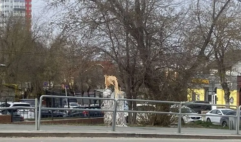 В Самаре на Ново-Садовой спилили сломанное во время шторма дерево