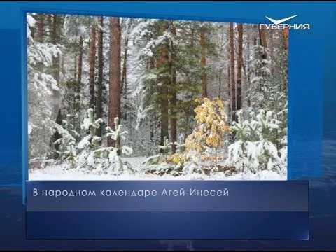 Агей-Инесей. Календарь губернии от 29 декабря