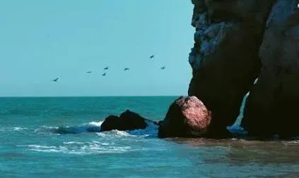 В России проведены масштабные исследования акваторий Чёрного и Азовского морей