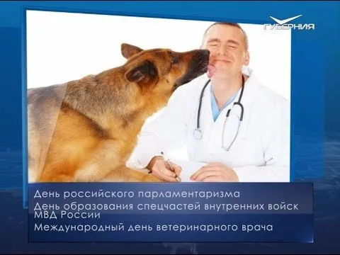 Международный день ветеринарного врача. Календарь губернии от 27 апреля