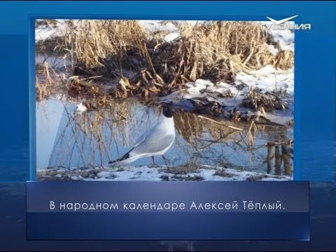 Алексей Тёплый. Календарь губернии от 30 марта