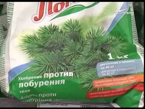 Дачные советы 25.06.2015 