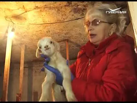 Агрокурьер 16.03.2016