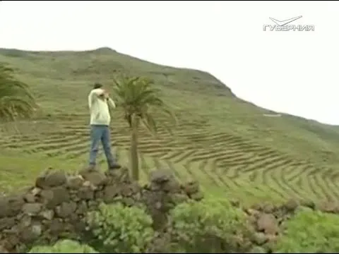 Что такое китайская грамота. Утро Губернии