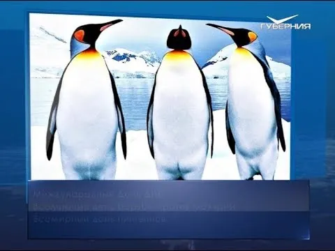 Всемирный день пингвинов. Календарь губернии от 25 апреля