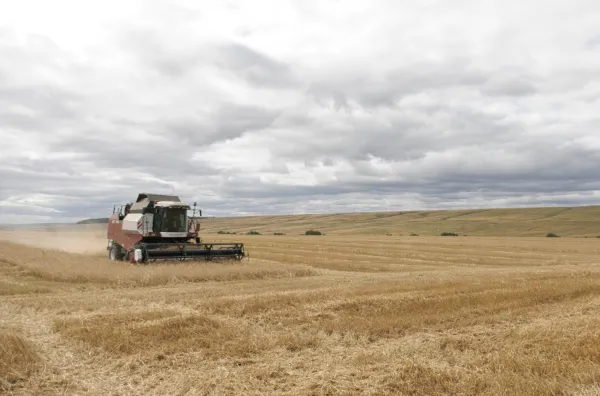 Эксперты "Достояния губернии" оценили работу сельхозкооператива в Исаклинском районе