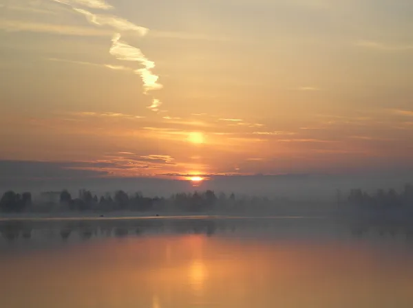 В России хотят организовать национальный проект по развитию Нечерноземья