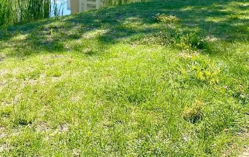 В Хворостянке появится новый парк 