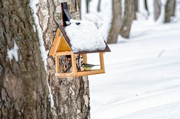 Народные приметы на 12 ноября 2025 года: что нельзя делать в этот день