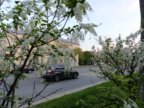 В Самарской области апрельская жара побила 78-летний рекорд