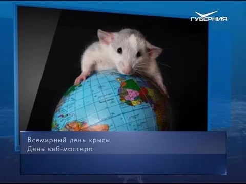 Всемирный день крысы. Календарь губернии от 4 апреля