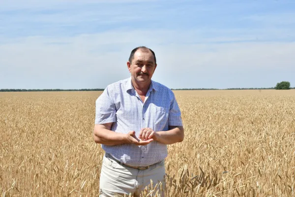 В оптимальные сроки: о прогнозах на урожай в 2020 году