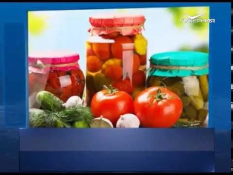 Календарь губернии 11.09.2017