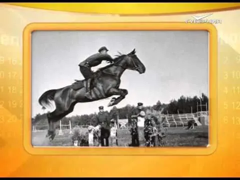 Календарь Губернии 19.11.2015 