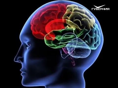 Искусство лгать. Утро Губернии