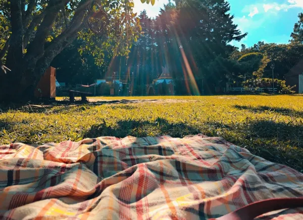 С заботой о природе: как безопасно отдохнуть на пикнике