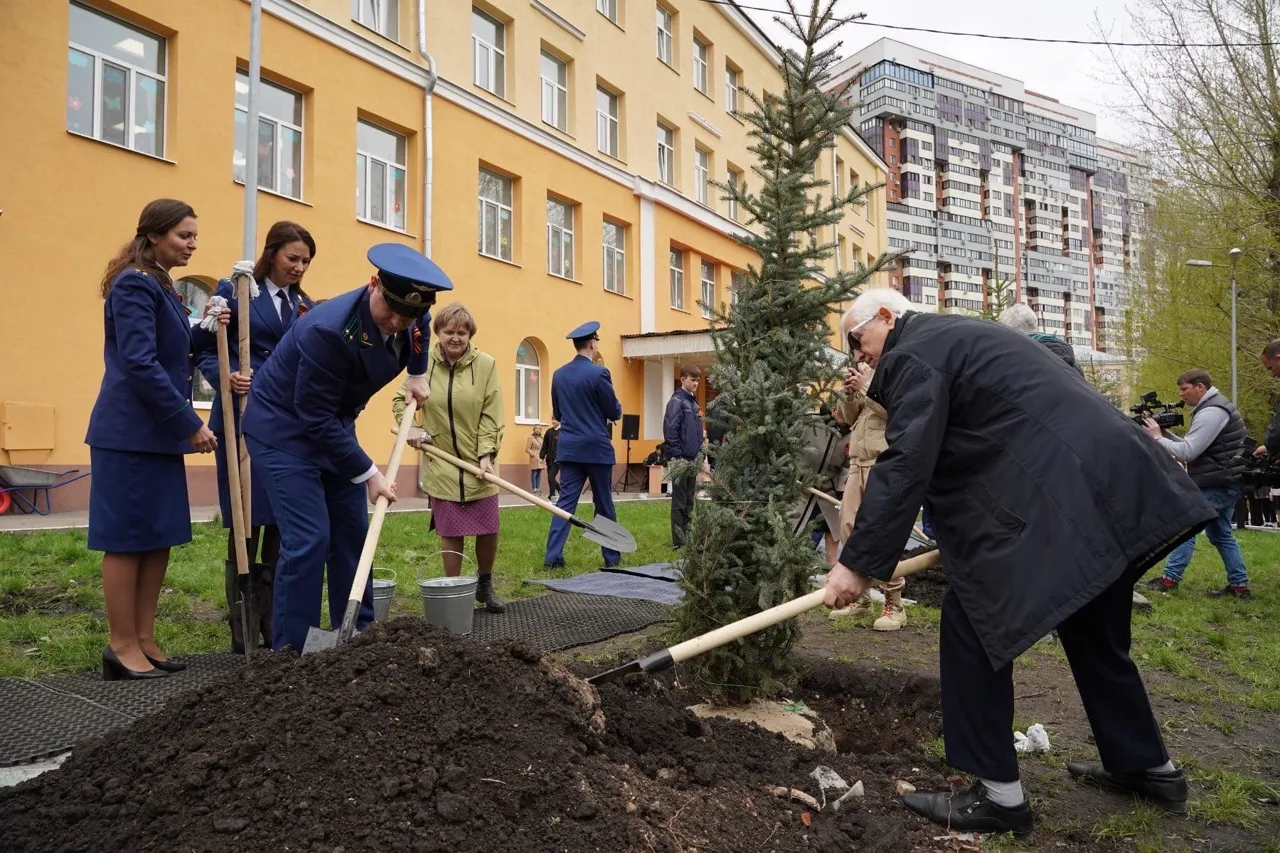 В Самаре высадили аллею в честь областного прокурора | СОВА - главные  новости Самары