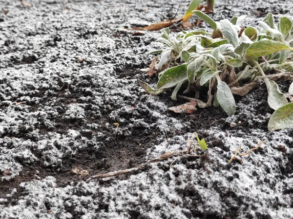 Народные приметы на 2 декабря 2025 года: что нельзя делать в этот день