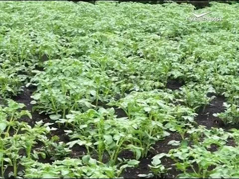 Автопробег "Самара -Магадан". Часть 5. Удачные заметки