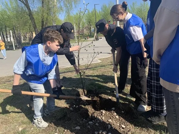 Сад памяти: в Самарской области появились новые зеленые аллеи