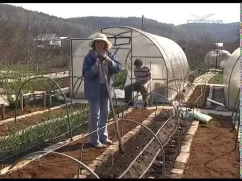 Дачные советы 7.05.2015 