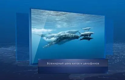 Всемирный день китов и дельфинов. Календарь Губернии от 23 июля