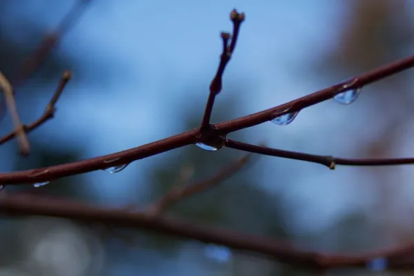В Самарской области прогнозируют дожди и потепление до +10