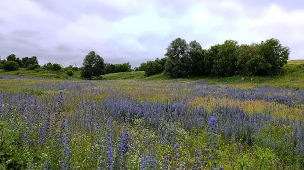 Стало известно, какая погода ждет Самарскую область в первые выходные июля