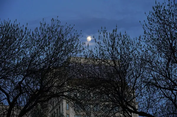 Сон в ночь со 2 на 3 апреля 2025 года: толкование по лунному календарю