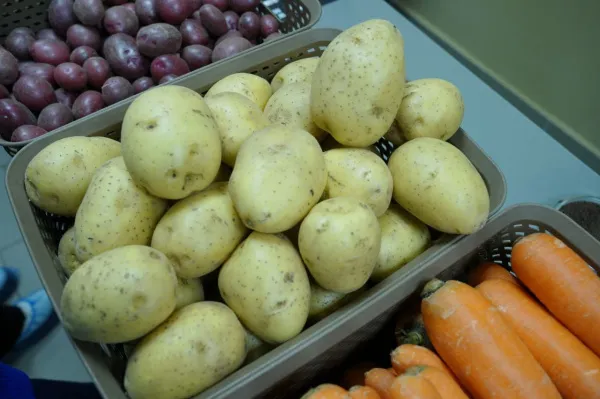 В Роспотребнадзоре рассказали, как выбрать картошку для жарки