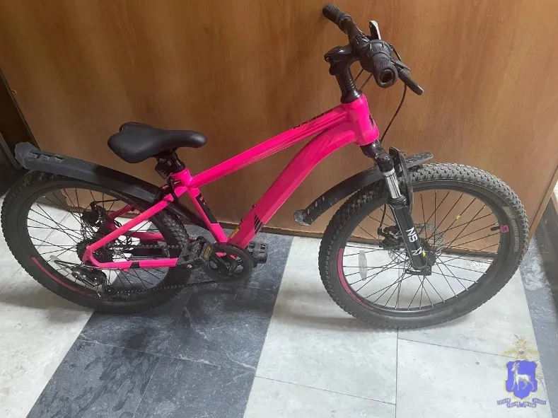 Самарца будут судить за кражу детского велосипеда