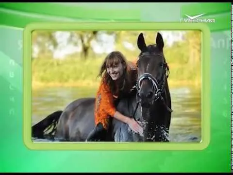 Календарь губернии 31.08.2017