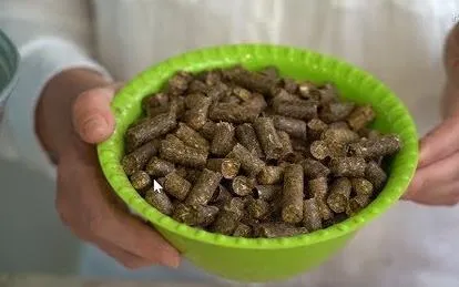 Обработка растений от муравьёв и тли. Дачные сезоны