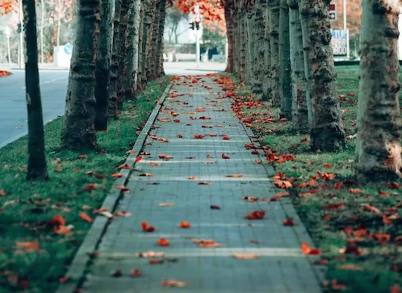 В Ставропольском районе объявили о планах благоустройства на 2023 год