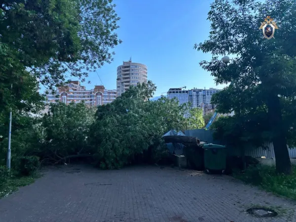 В Самаре 5 июня на женщину с коляской упало дерево