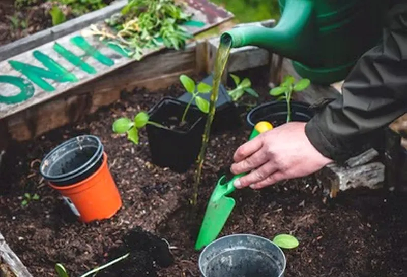 Школьники Камышлинского района получили трудовой опыт 