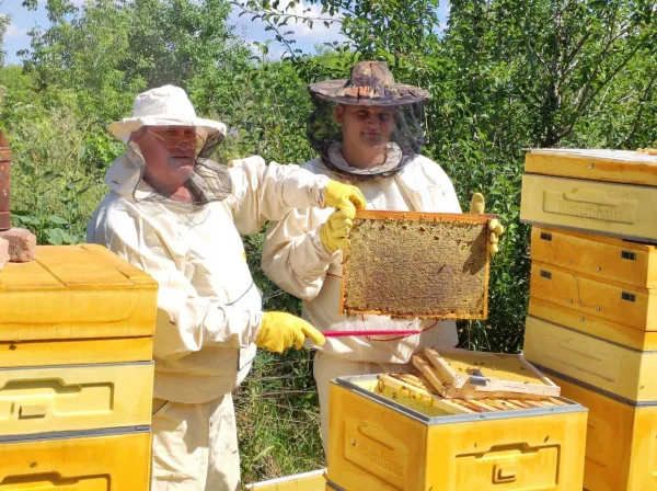 "Крестьянская гибкость" помогает семье из Кинель-Черкасского района достигать результата