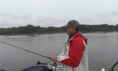 Как клюет рыба у Васильевских островов? Рыбацкое счастье