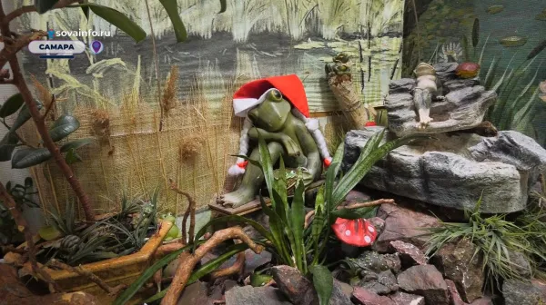 Музей лягушки: что посмотреть в Самаре