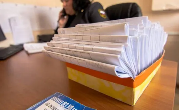 В Самарской области дерзкую воровку обязали выплатить материальный ущерб